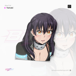 Fire Force Bundle [Tamaki & Hibana]